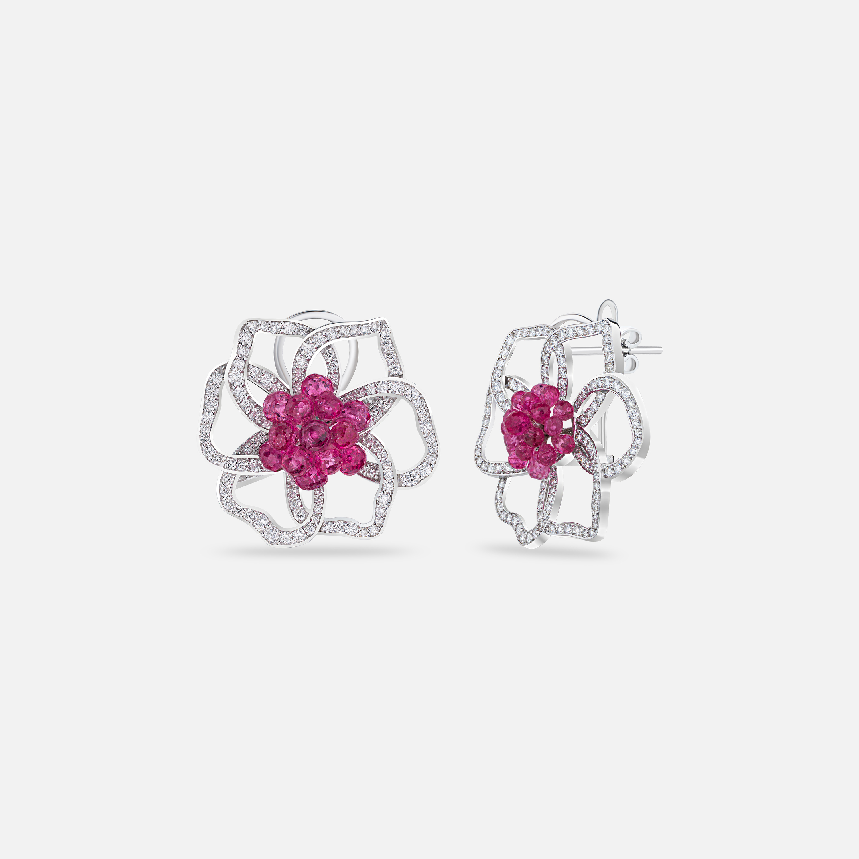 Bloom